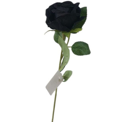 Negro