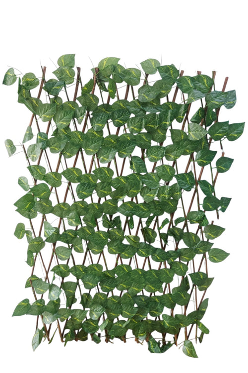 Cercha Decorativa Plegable Hoja Miami 2mx1m