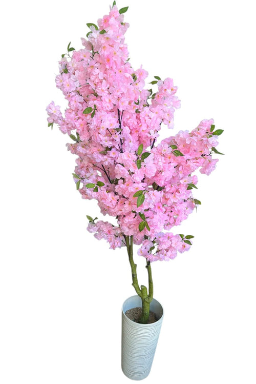 Árbol de Cerezo 2 Troncos Rosa Claro 1.70mts