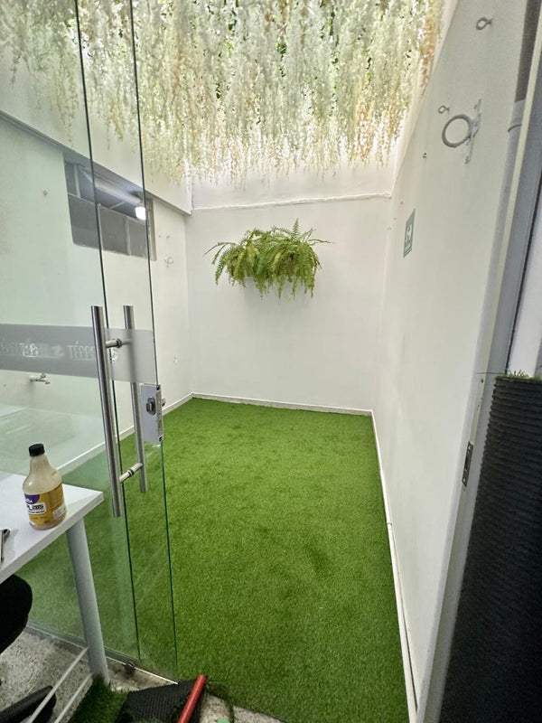 techo de solo wisterias p27
