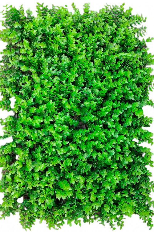 Jardin Vertical tornillo 60x40cm landing