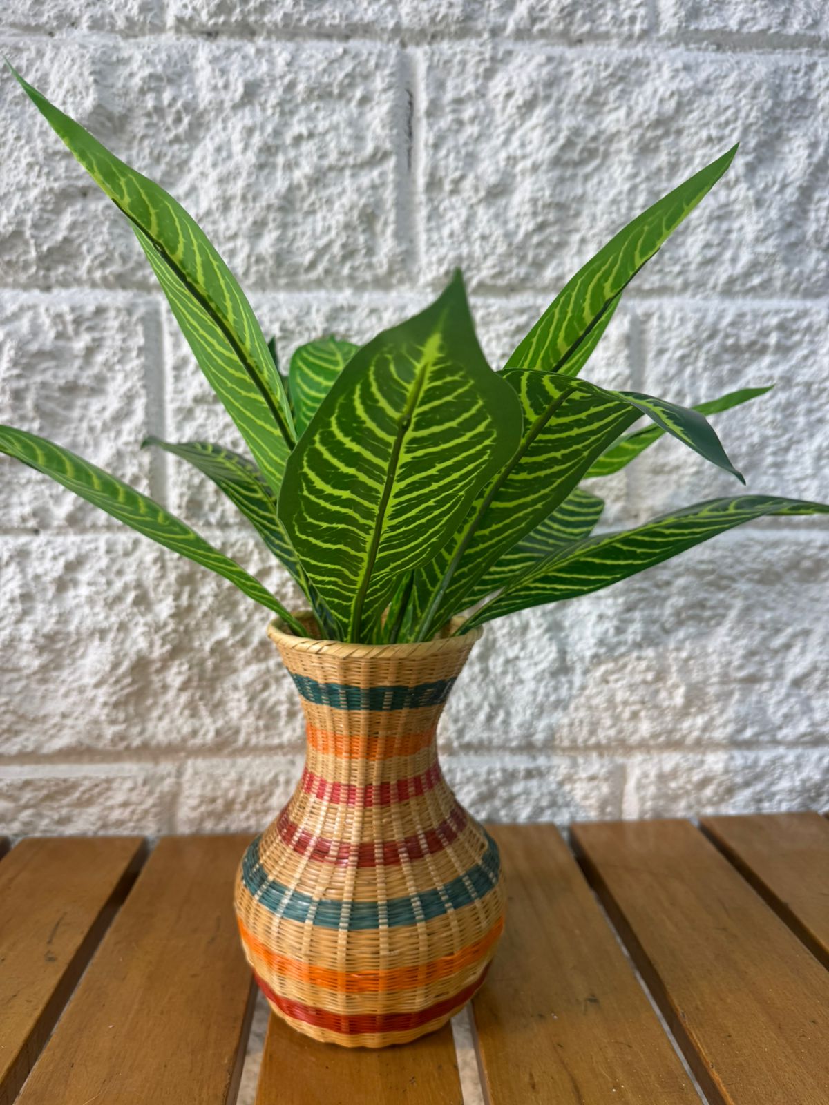 Planta Lengua de Suegra Trifasciata 42cm