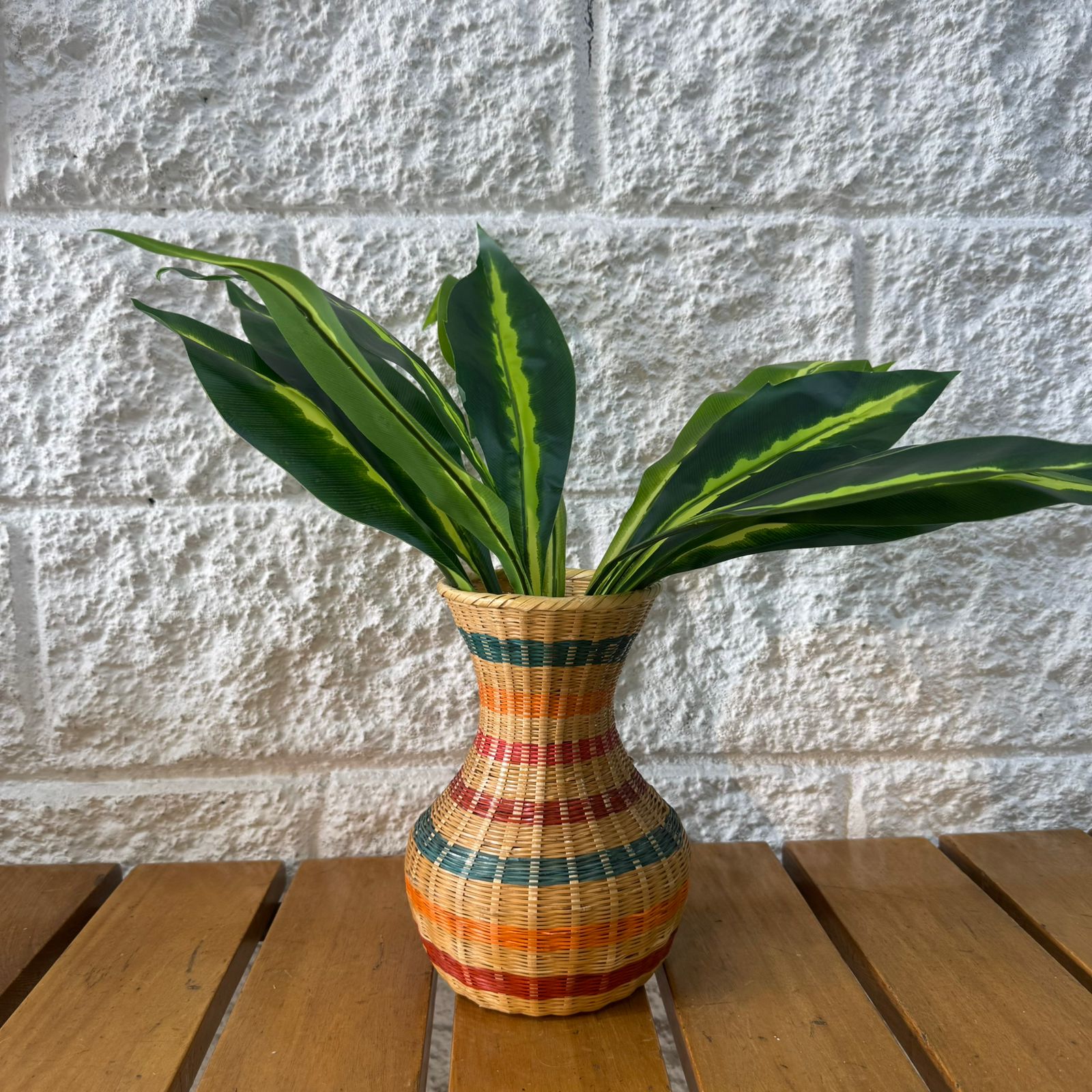 Planta Lengua de Suegra Sencilla