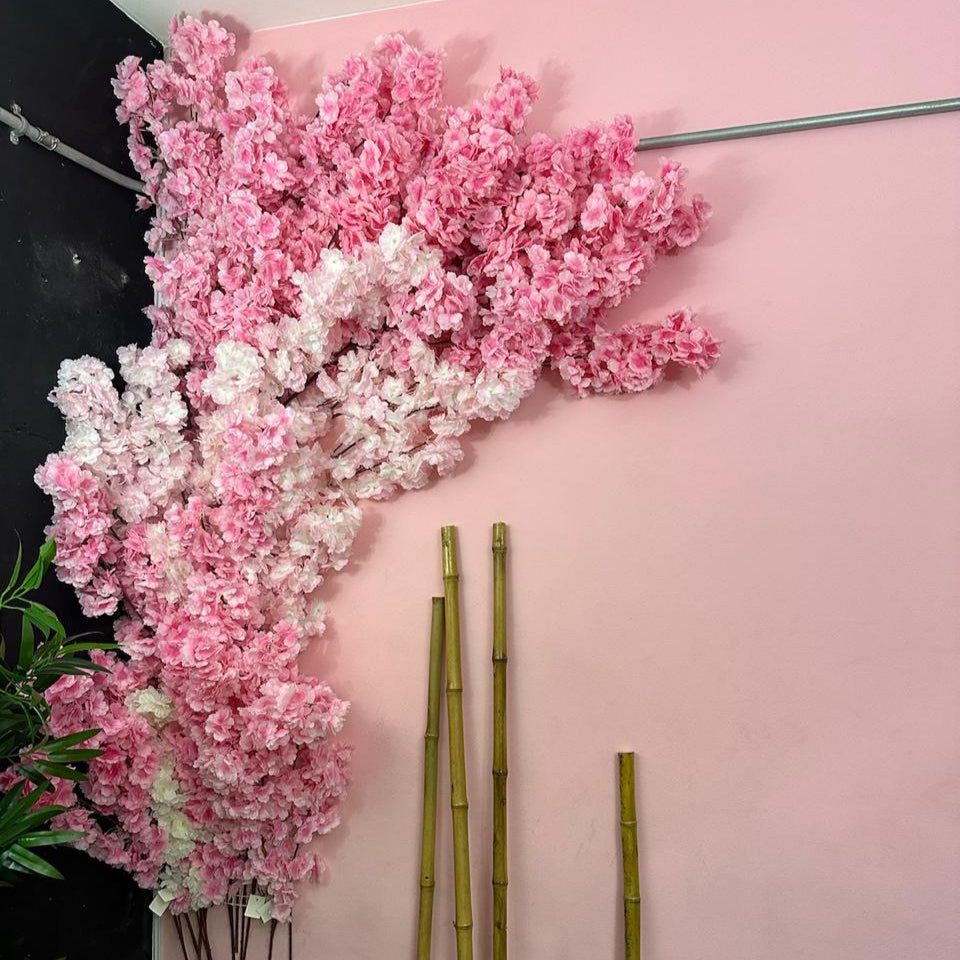 Combo x 40 unidades Cerezos premium Japoneses