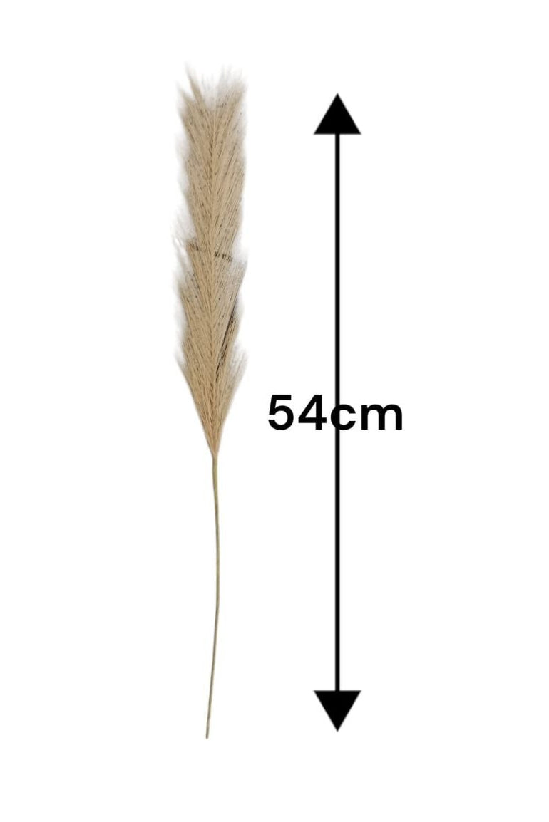 Pelito Pampa Artificial Café 54cm