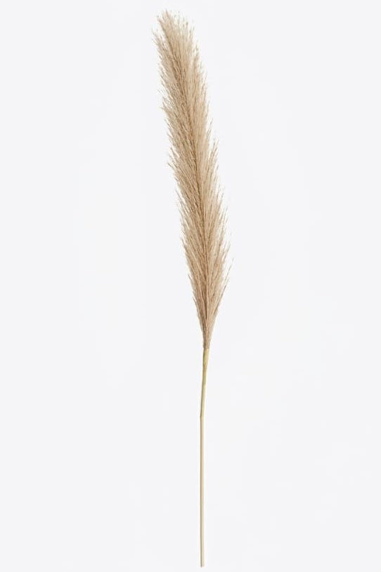 Pelito Pampa Artificial Café 54cm