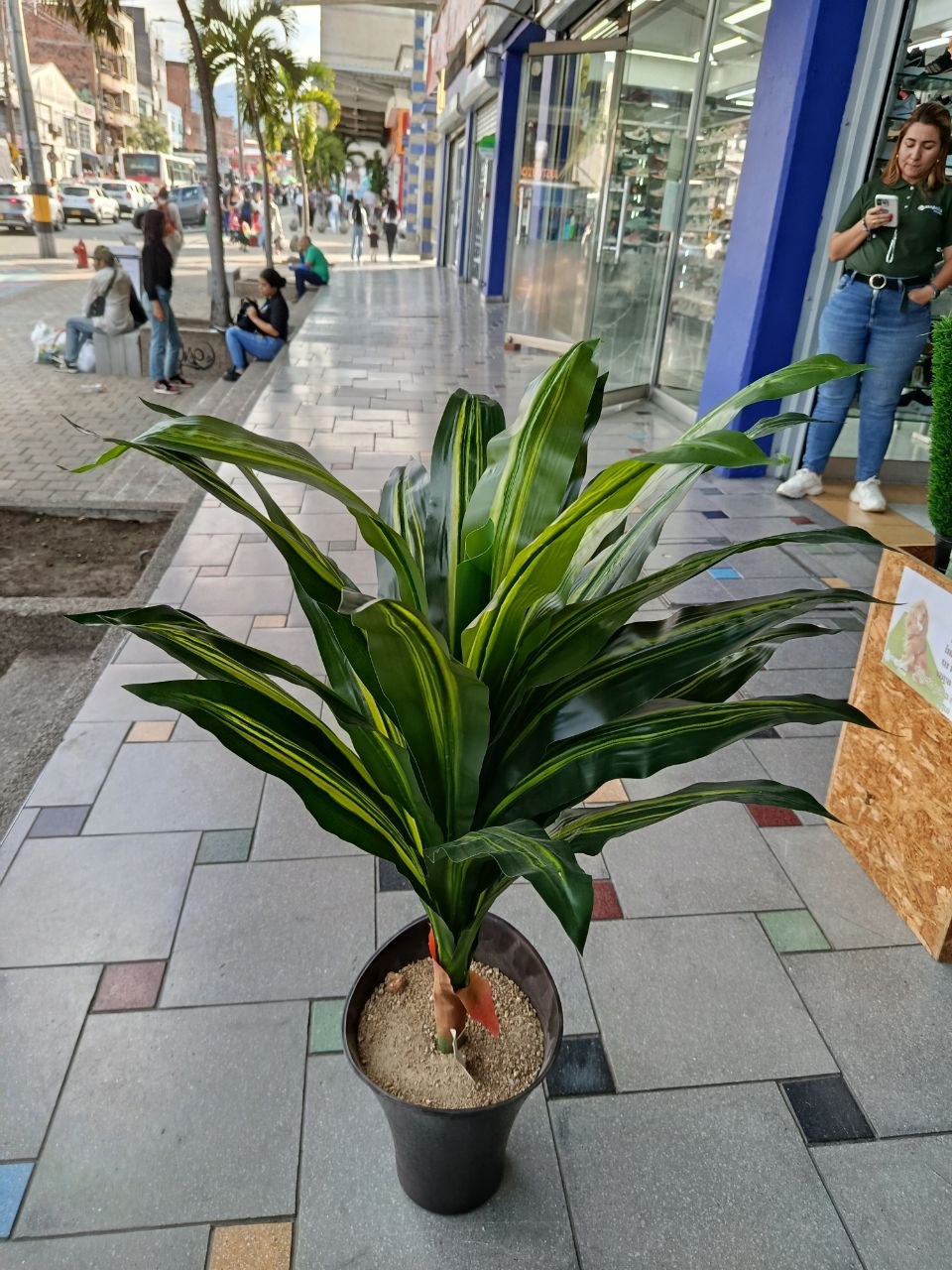 Planta Pencas Artificial 1mtr