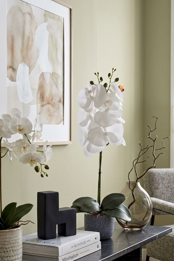 Orquidea de 5 Flores Blanca 58cm