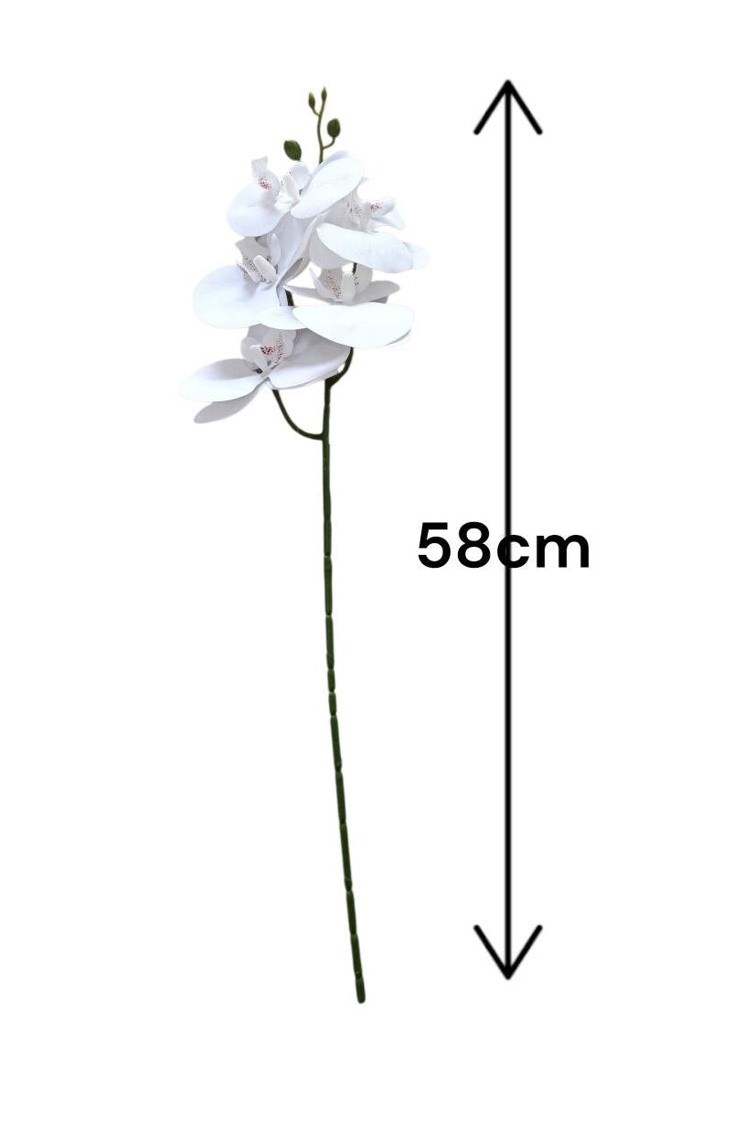 Orquidea de 5 Flores Blanca 58cm