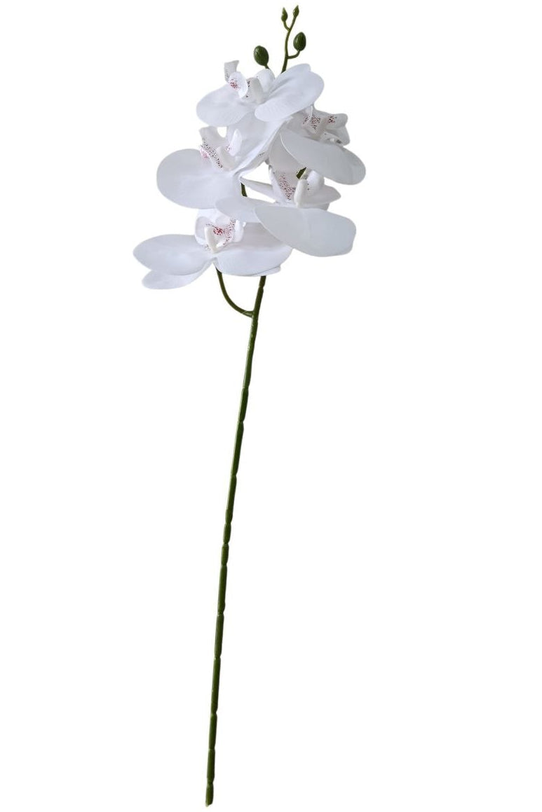 Orquidea de 5 Flores Blanca 58cm
