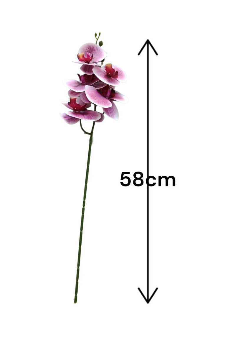 Flores para cada espacio