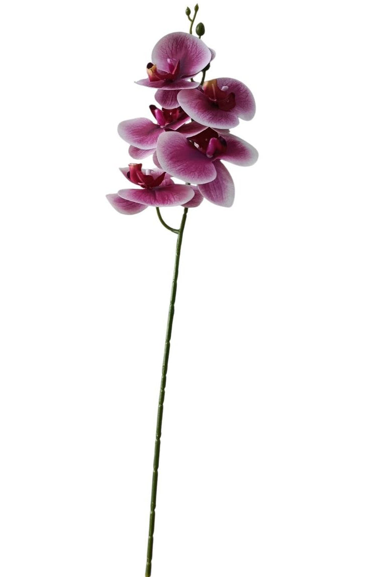 Orquidea 5 Flores Morado/Blanco 58cm