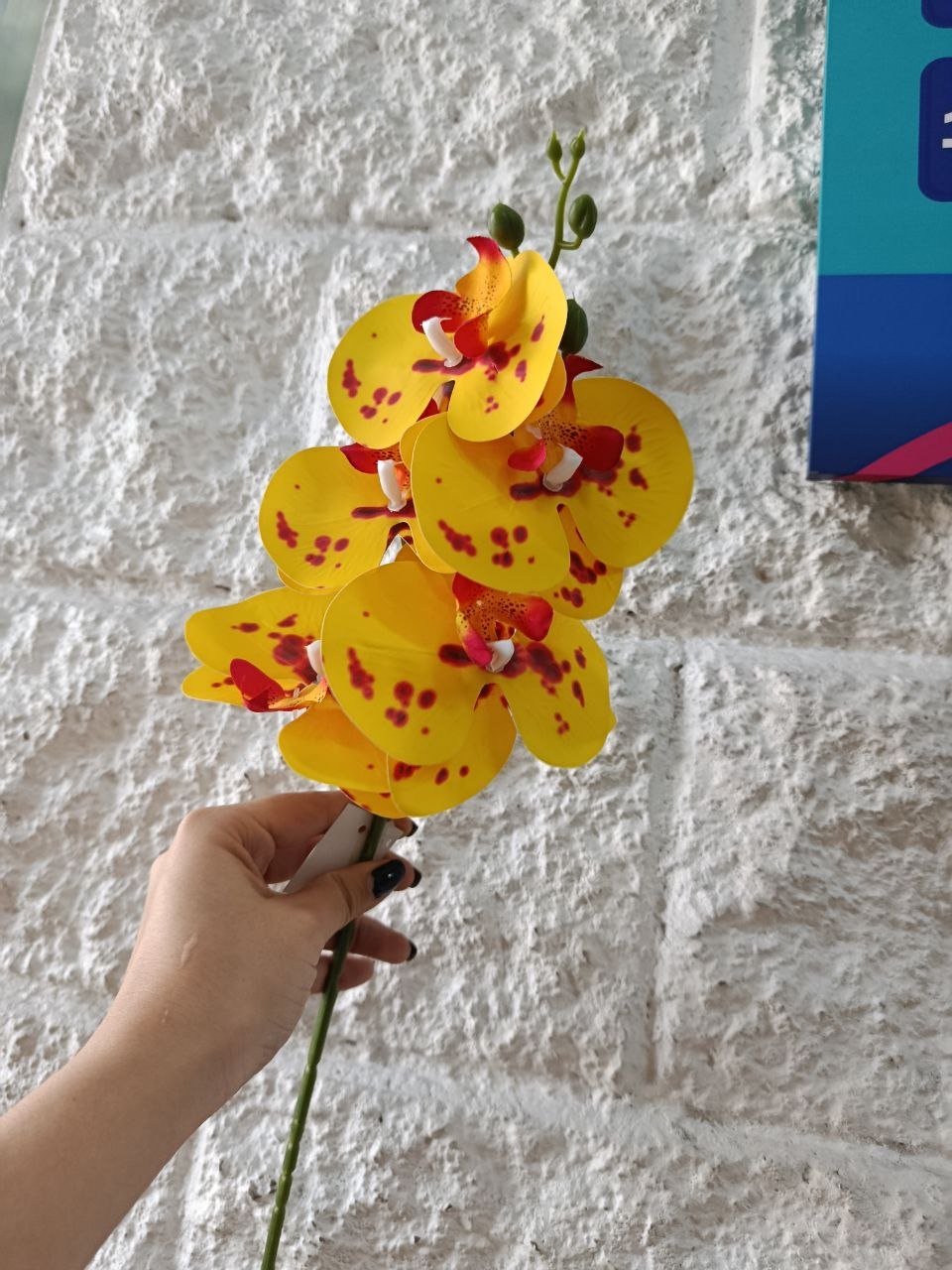 Orquidea 5 Flores Amarilla 58cm
