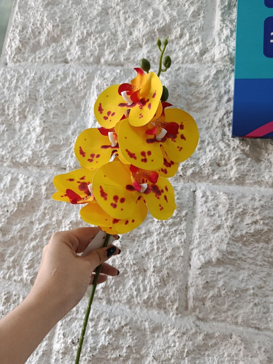 Un toque de flores, un mundo de estilo
