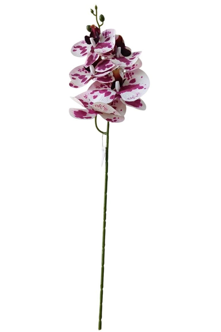 Orquidea 5 Flores Blanco/Morada 58cm