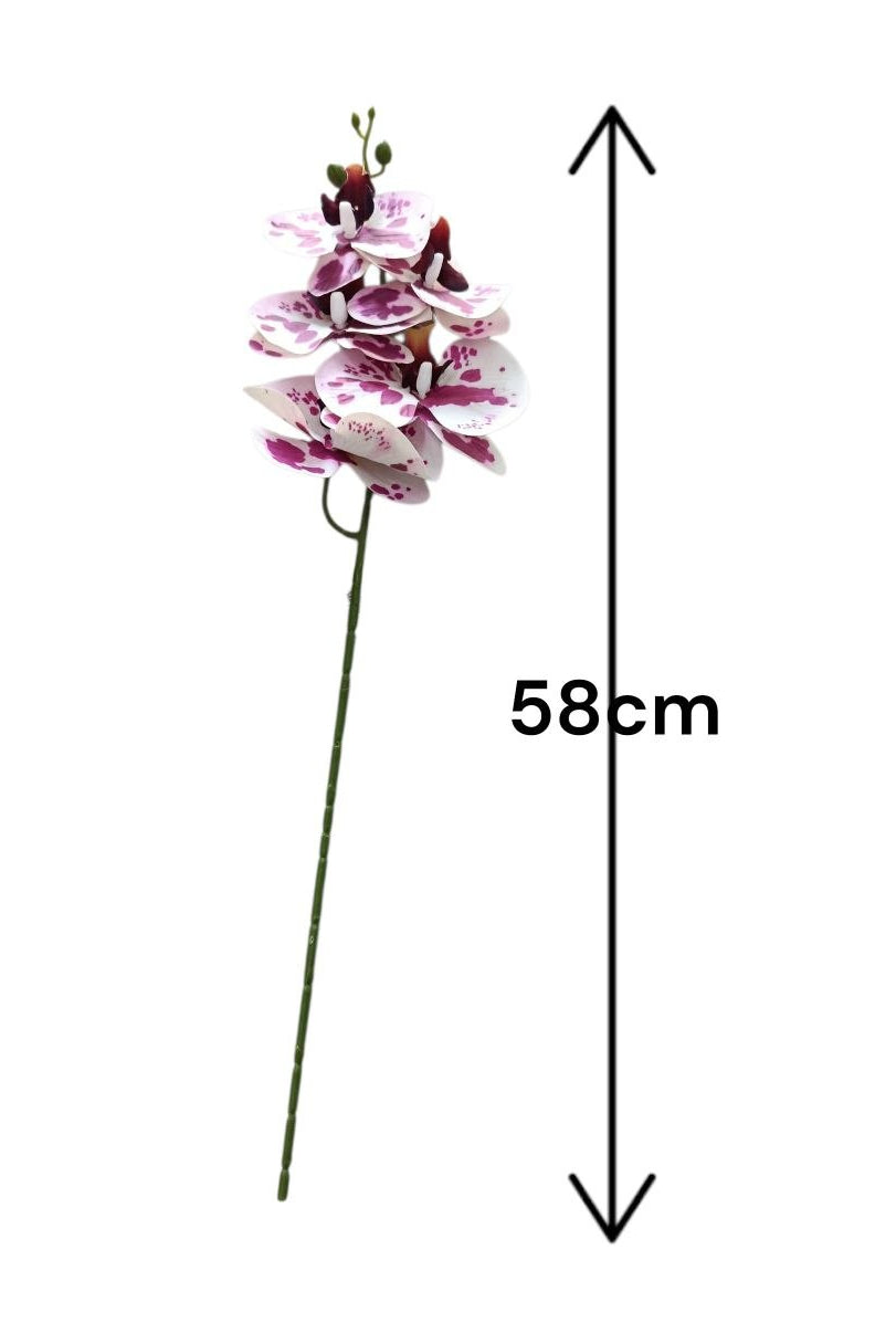 Flores para cada espacio