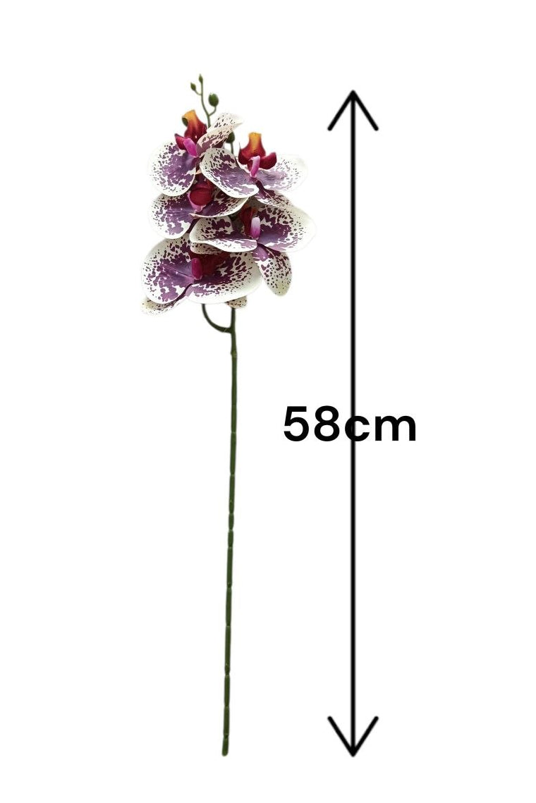 Orquidea 5 Flores Fucsia/Blanco 58cm