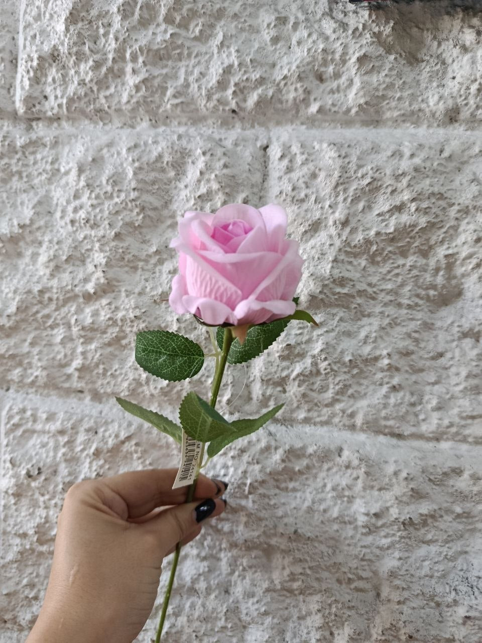 Rosa Tipo Ans Rosada 50cm