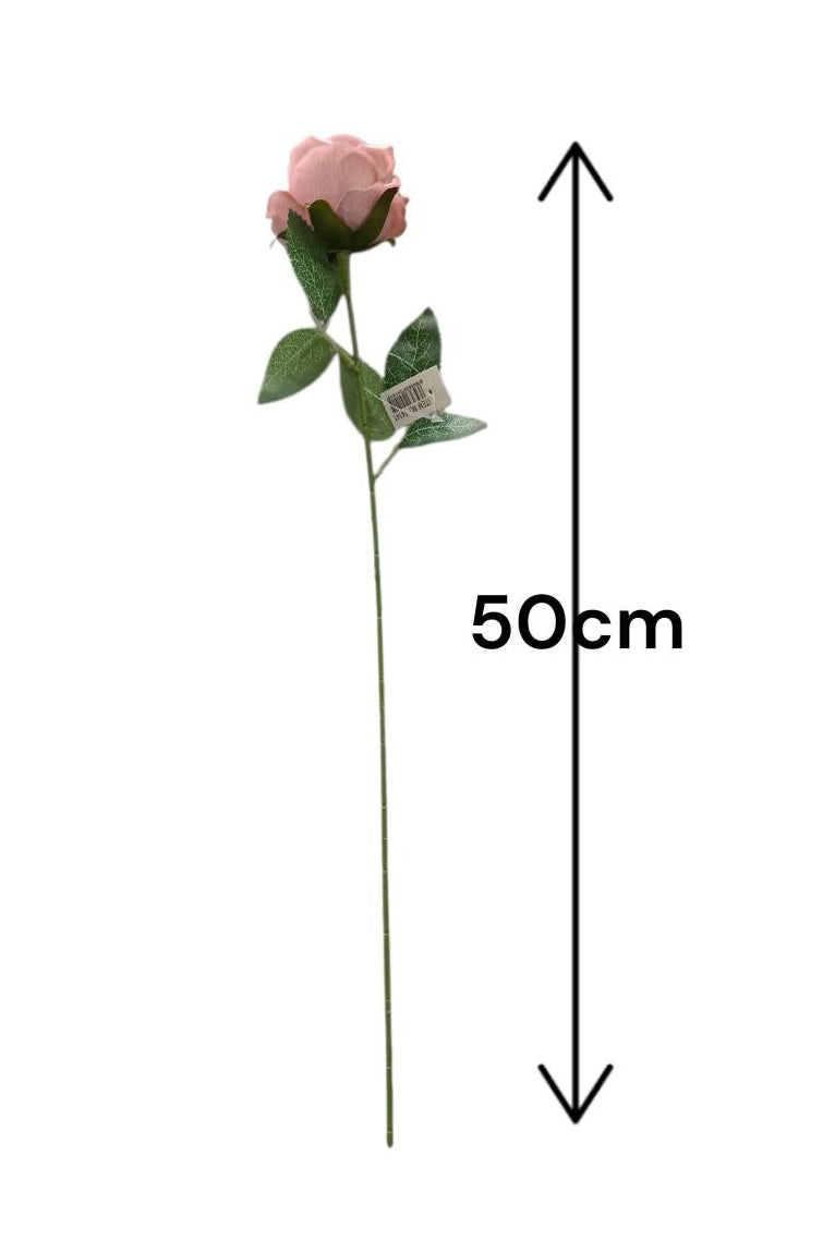 Rosa Tipo Ans Palo de Rosa 50cm