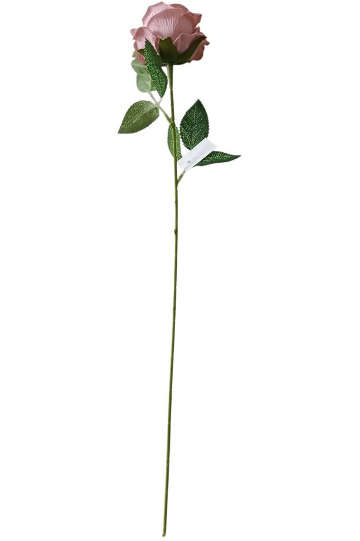 Rosa Tipo Ans Palo de Rosa 50cm