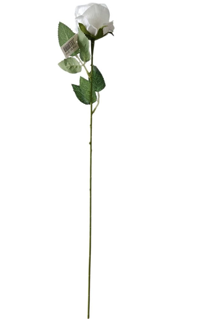 Rosa Tipo Ans Blanca 50cm
