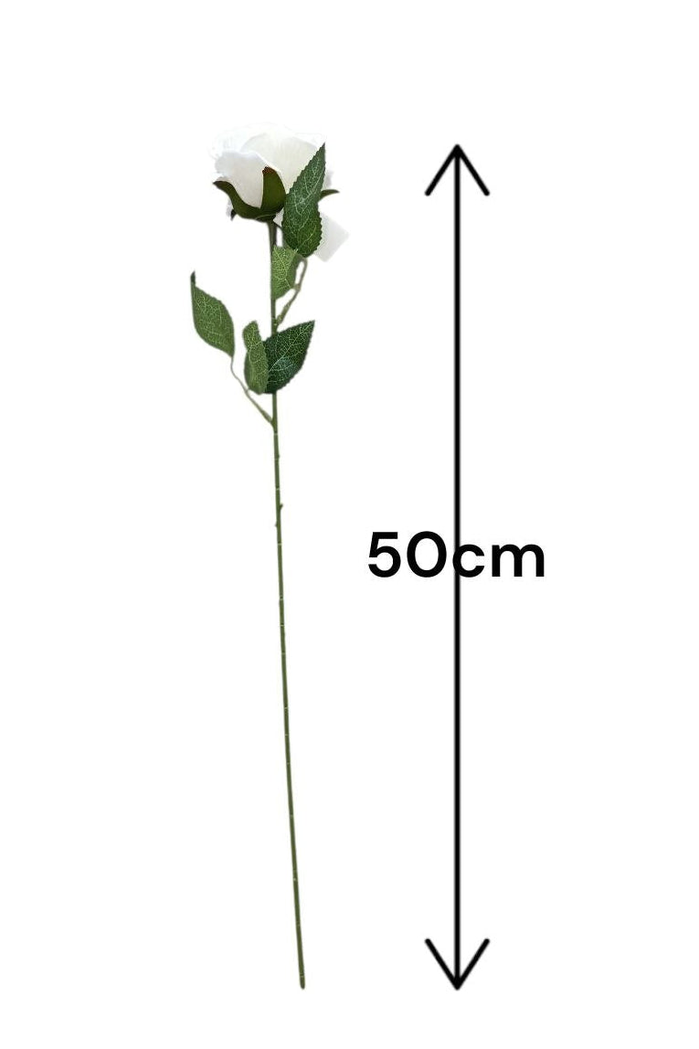 Rosa Tipo Ans Blanca 50cm