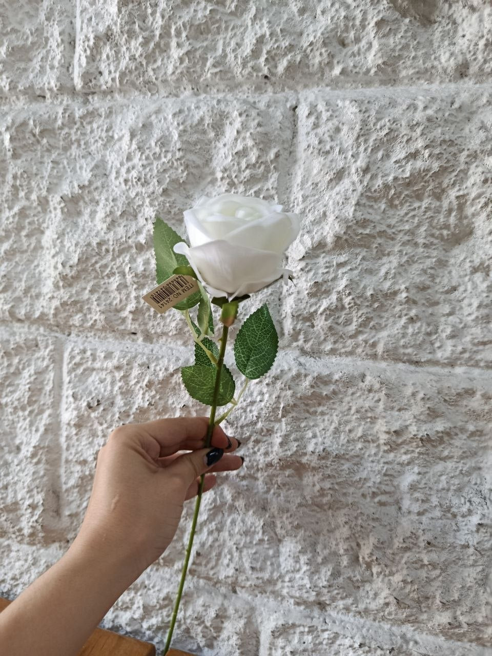 Rosa Tipo Ans Blanca 50cm