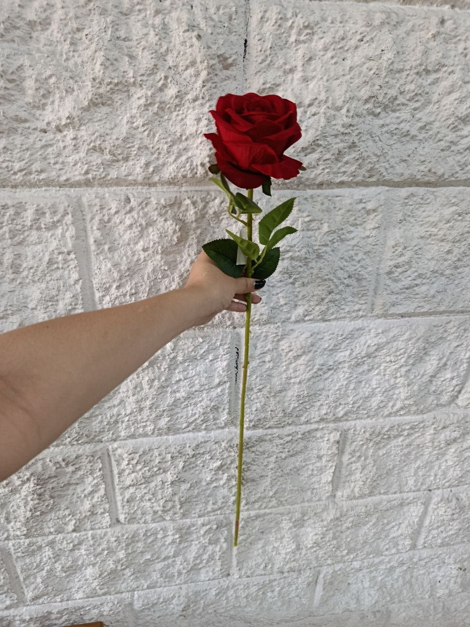 Rosa Extragrande Roja 76cm