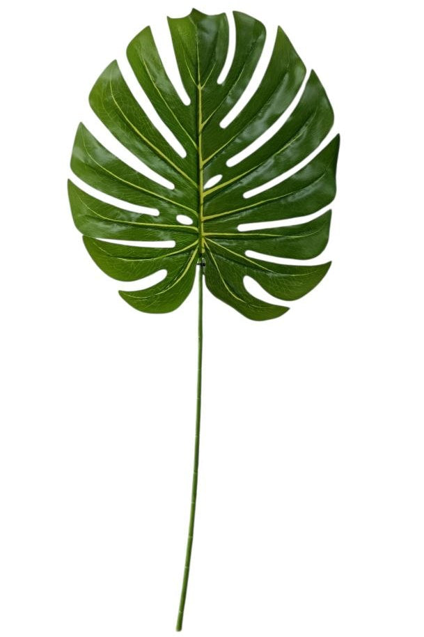 Rama de Balazo Grande 89cm
