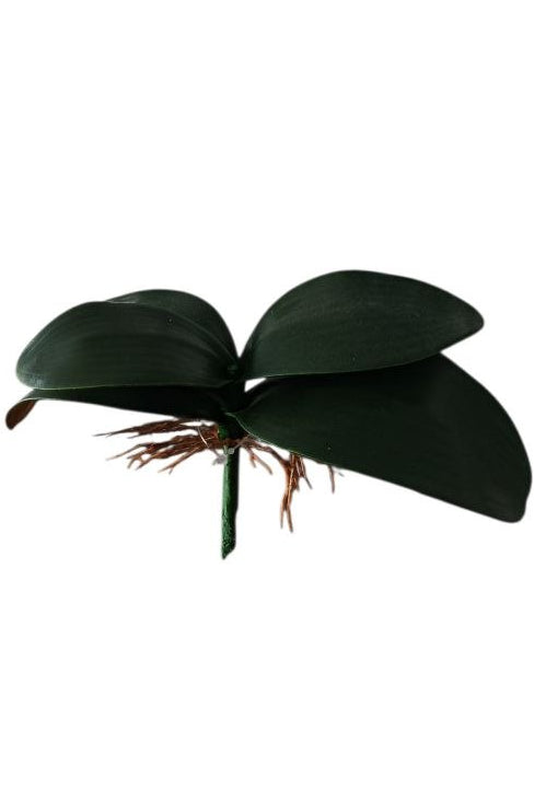 Raíz de Orquídea Artificial 13cm
