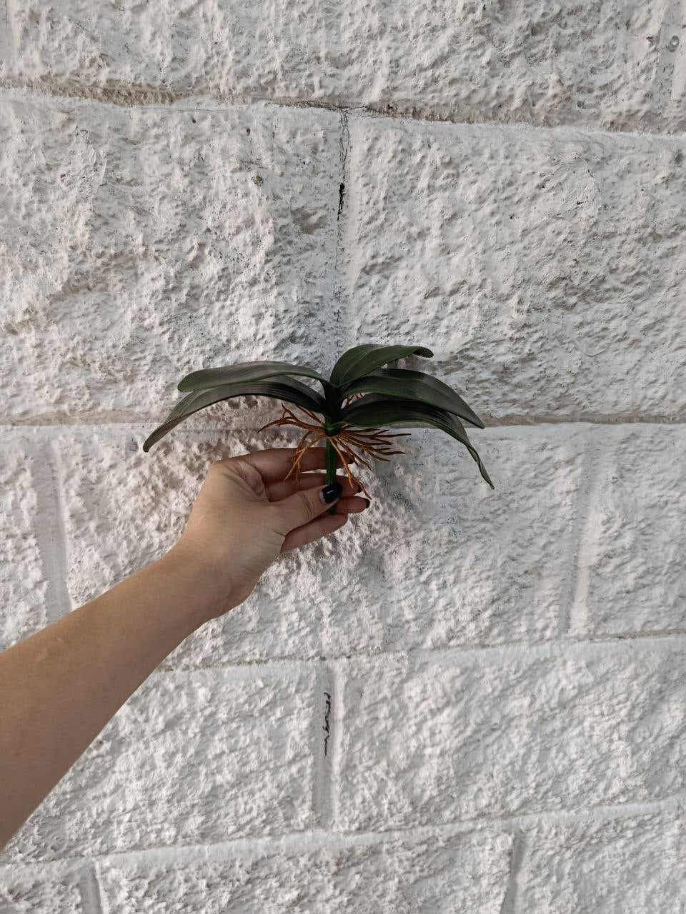 Raíz de Orquídea Artificial 13cm
