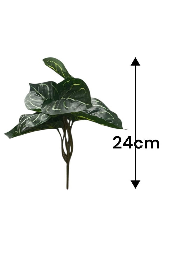 Planta Alas de Ángel Tipo Alocasia 24cm