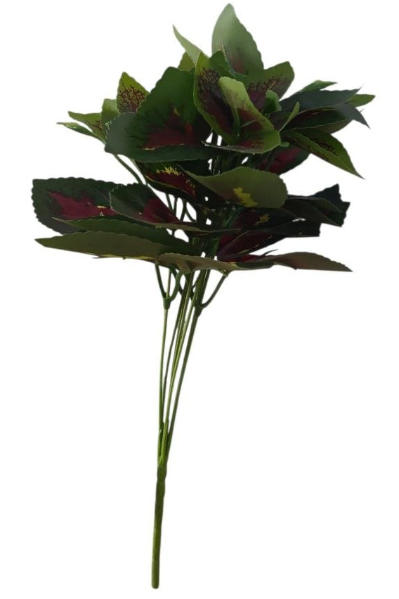 Follaje Pomposo Cóleo 32cm