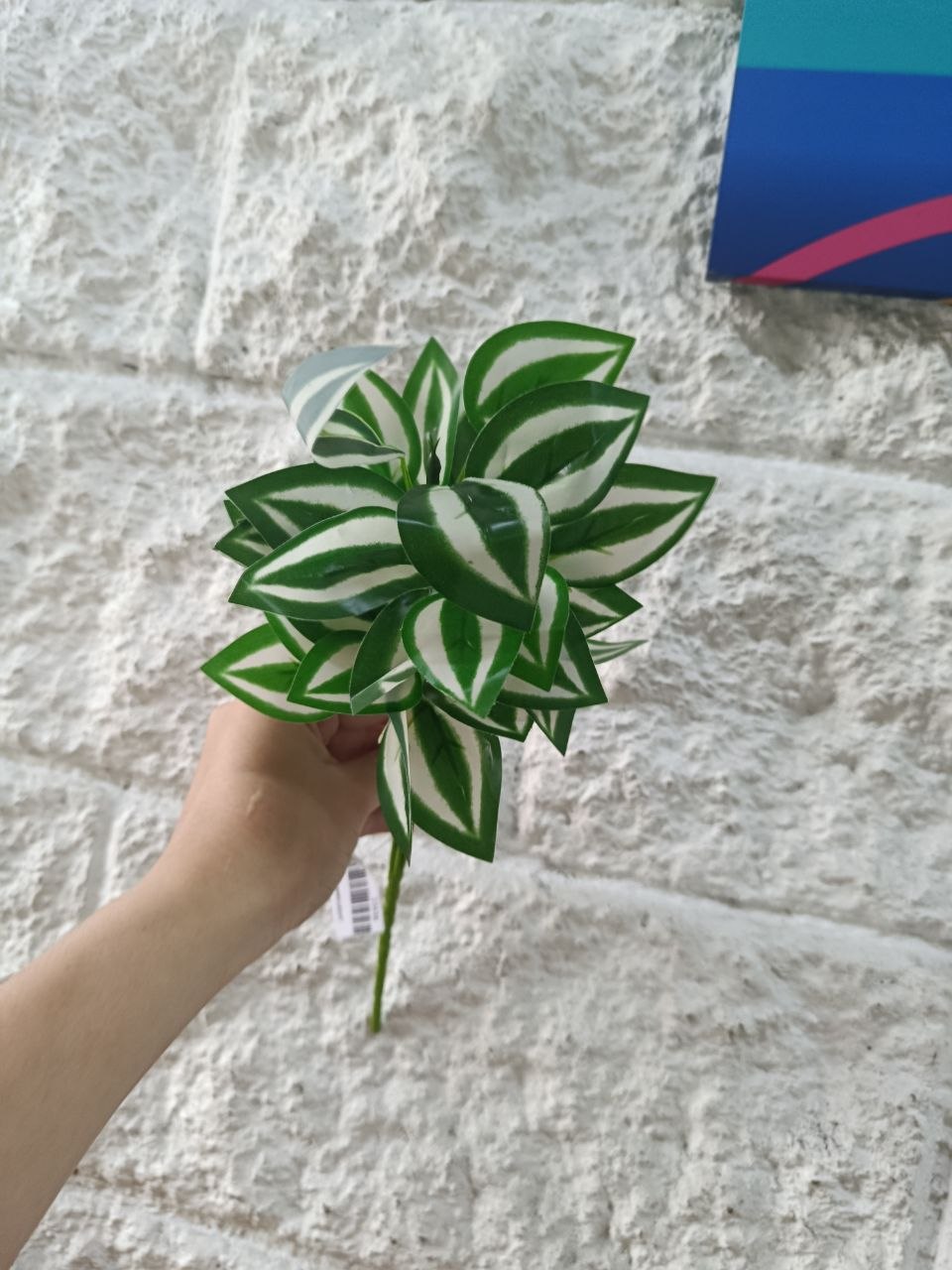 Follaje Pomposo Tradescantia Zebrina 33cm
