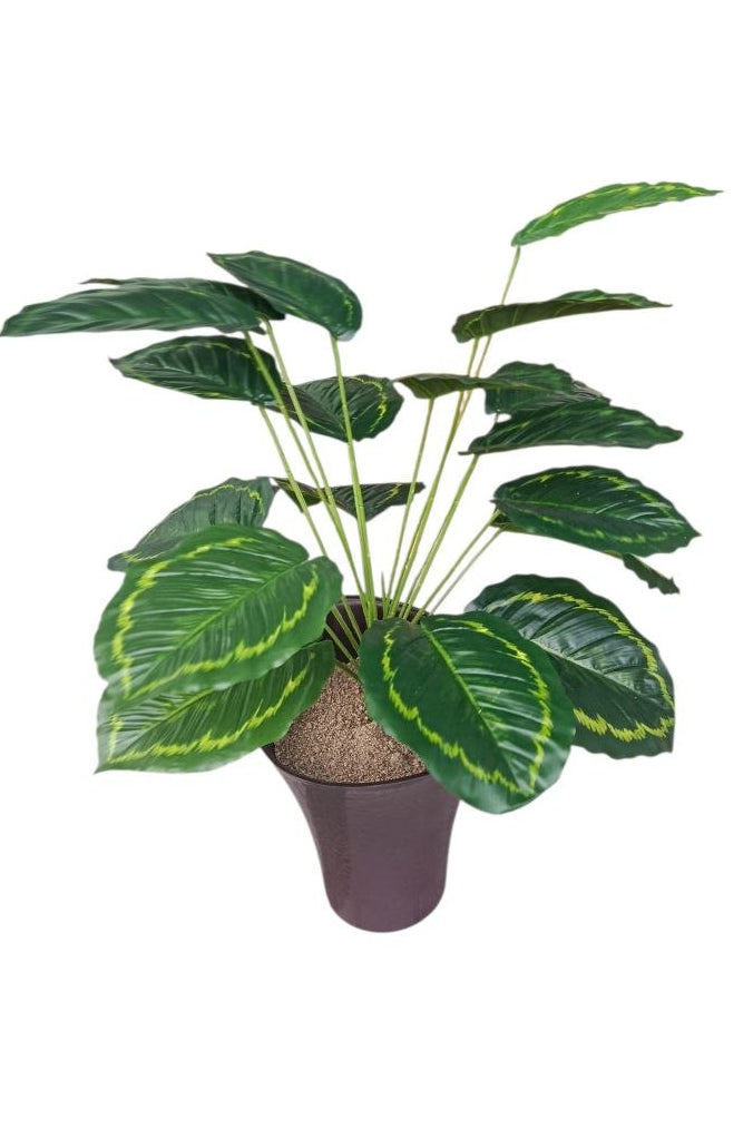 Planta Manchada y Borde Verde Artificial 74cm