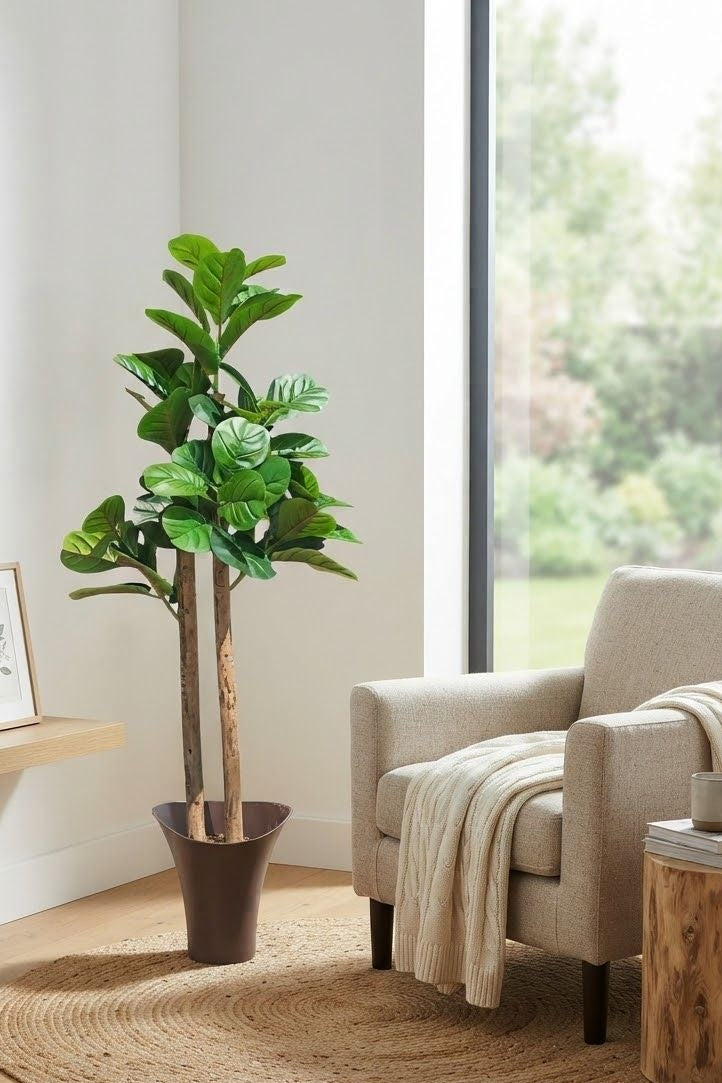 Planta Laurel Con Matera 1.37mts