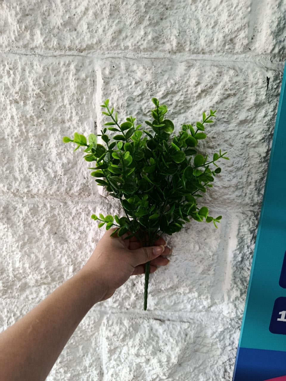 Follaje General Estilo Eucalipto 34cm