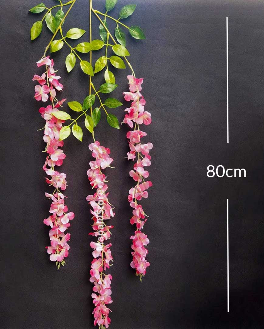 Docena de Glicina Wisteria Fucsia 80cm