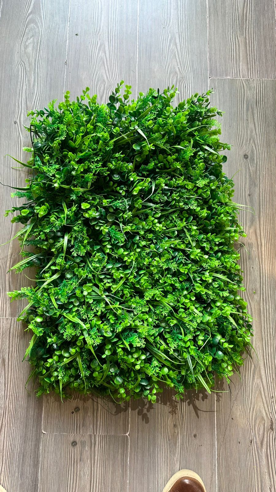 Jardín Vertical 60x40 pencas y eucalipto