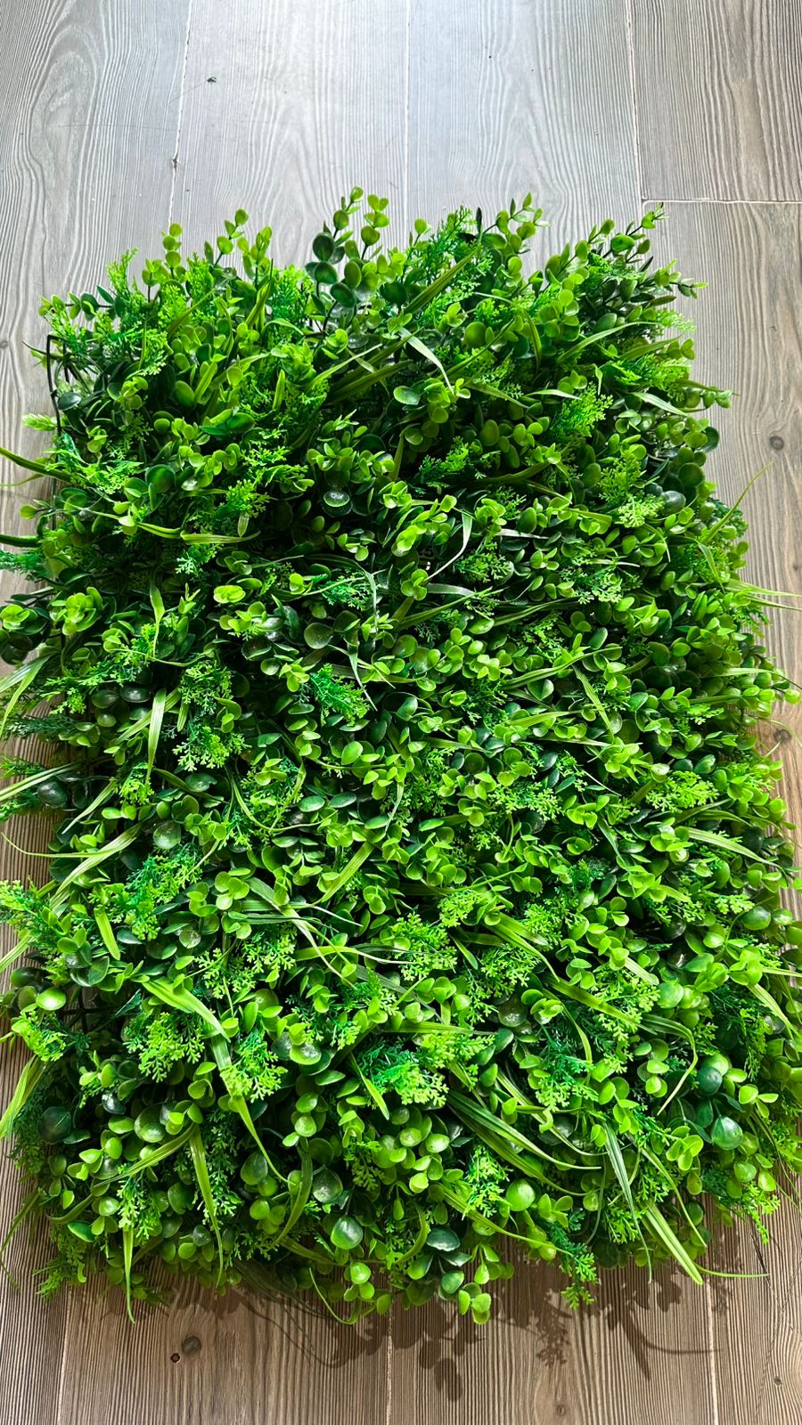 Jardín Vertical 60x40 pencas y eucalipto