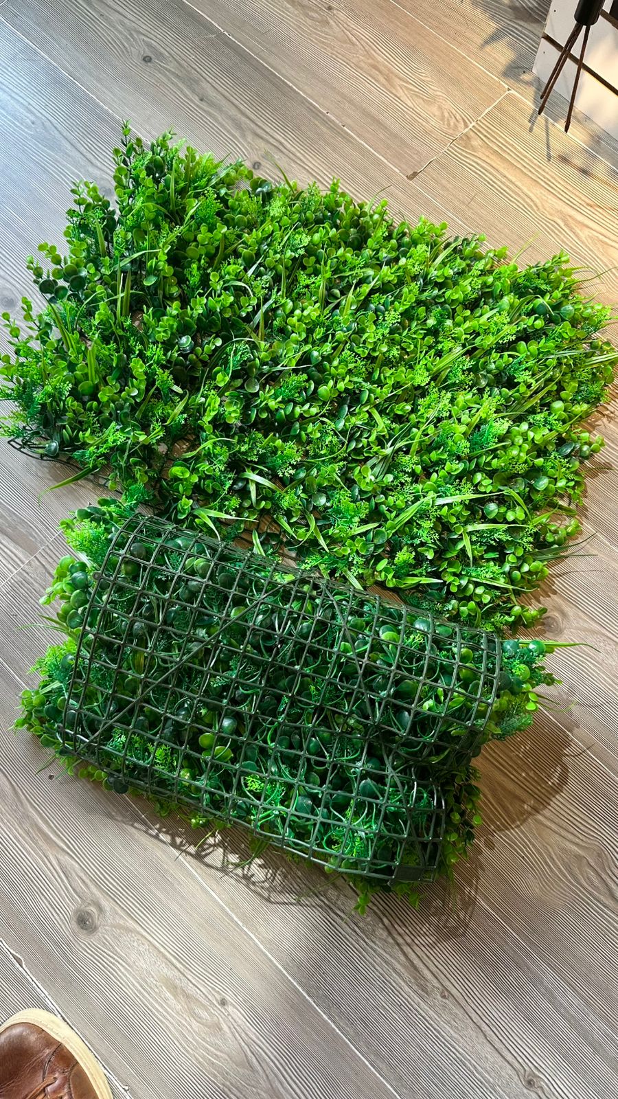 Jardín Vertical 60x40 pencas y eucalipto