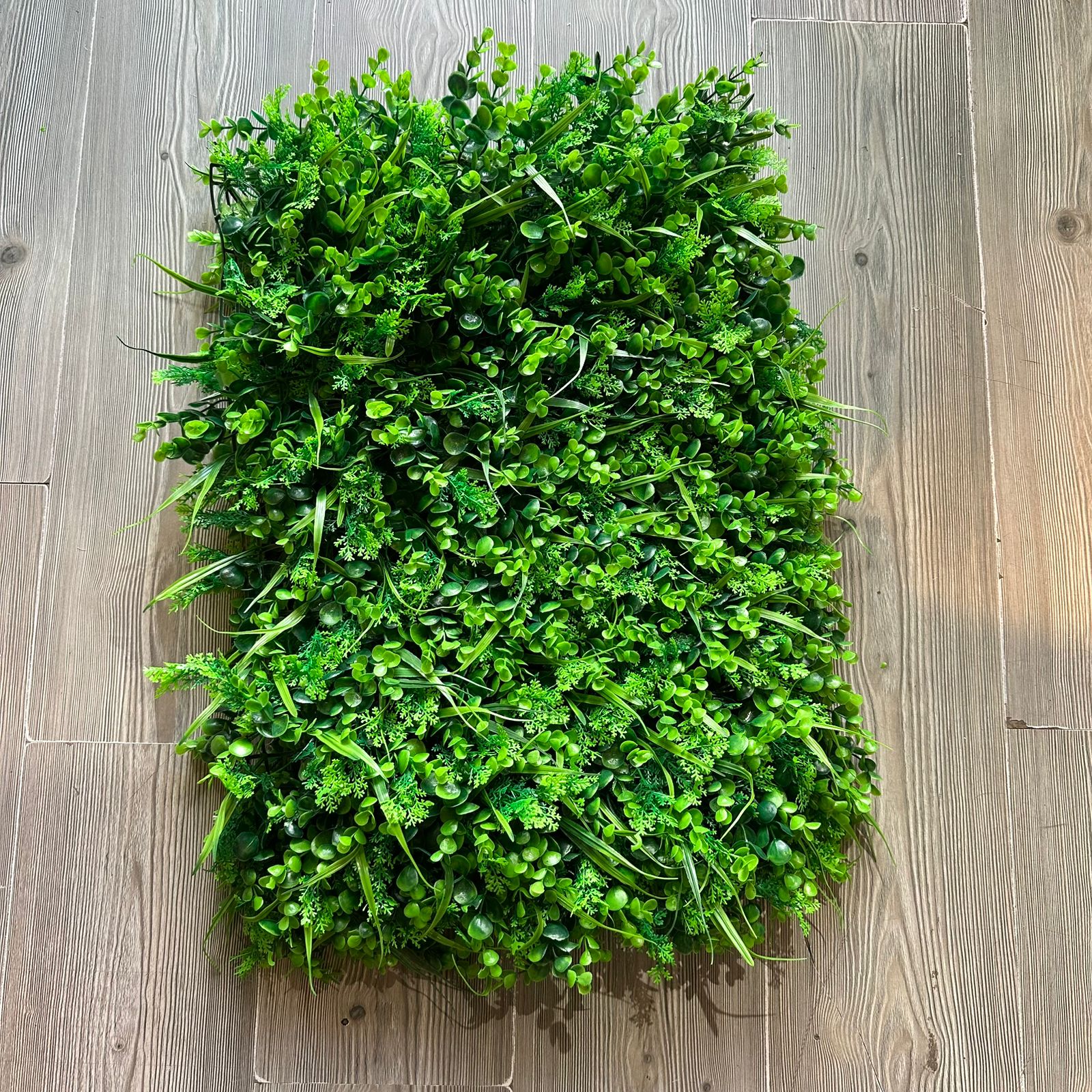 Jardín Vertical 60x40 pencas y eucalipto