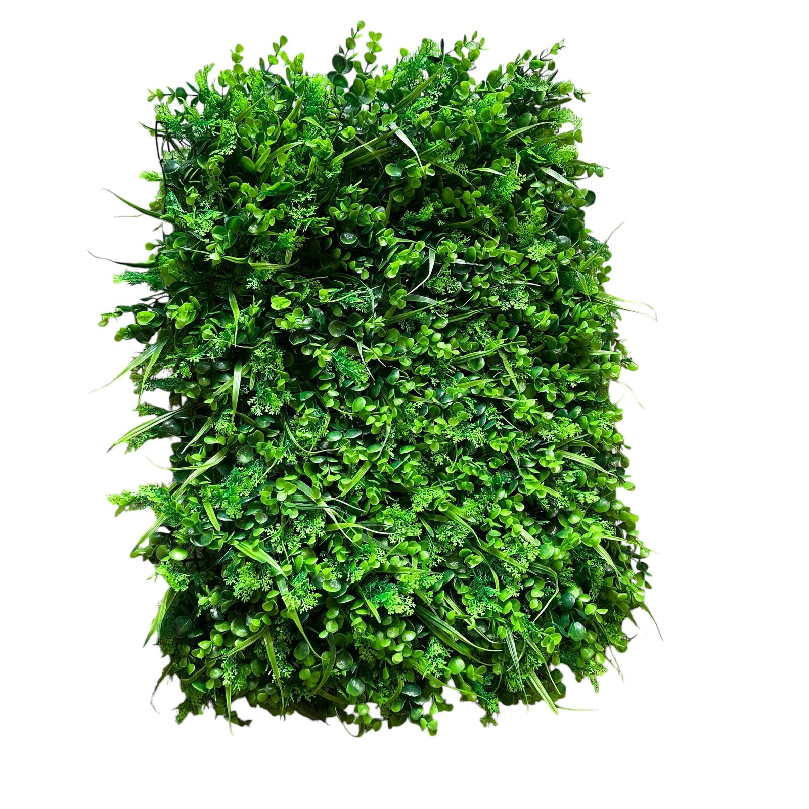 Jardín Vertical 60x40 pencas y eucalipto