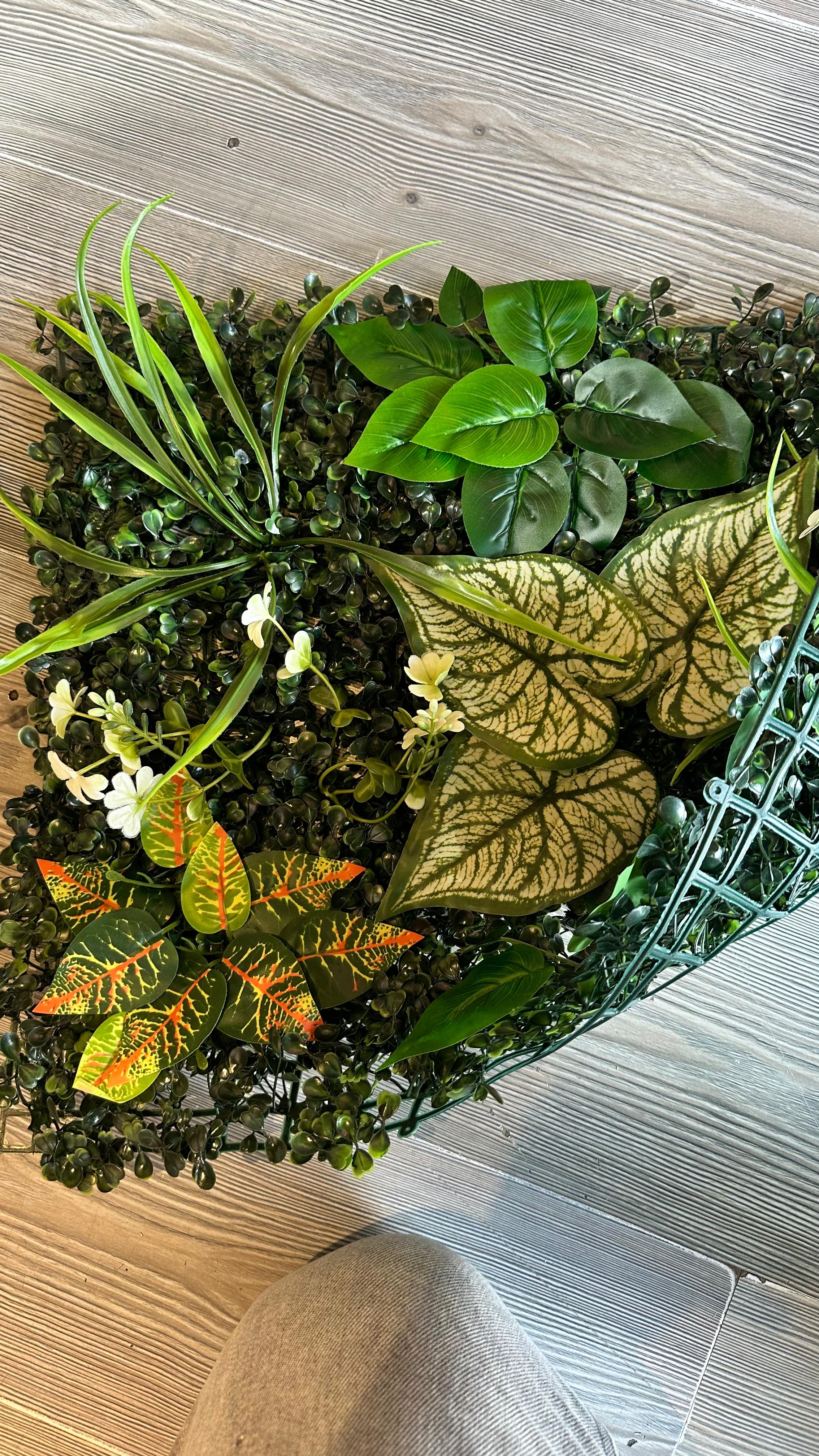 Jardín vertical Artificial 60x40 difembacha Croton