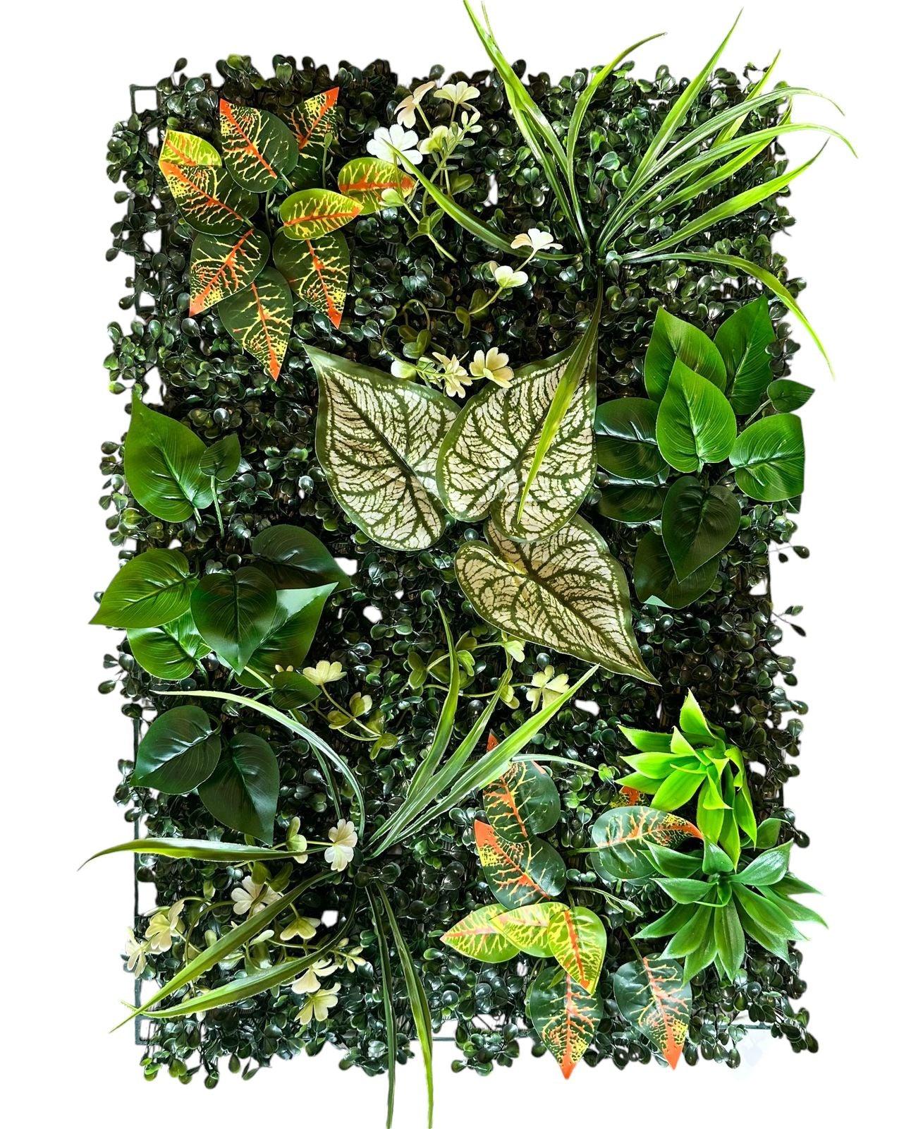 Jardín vertical Artificial 60x40 difembacha Croton