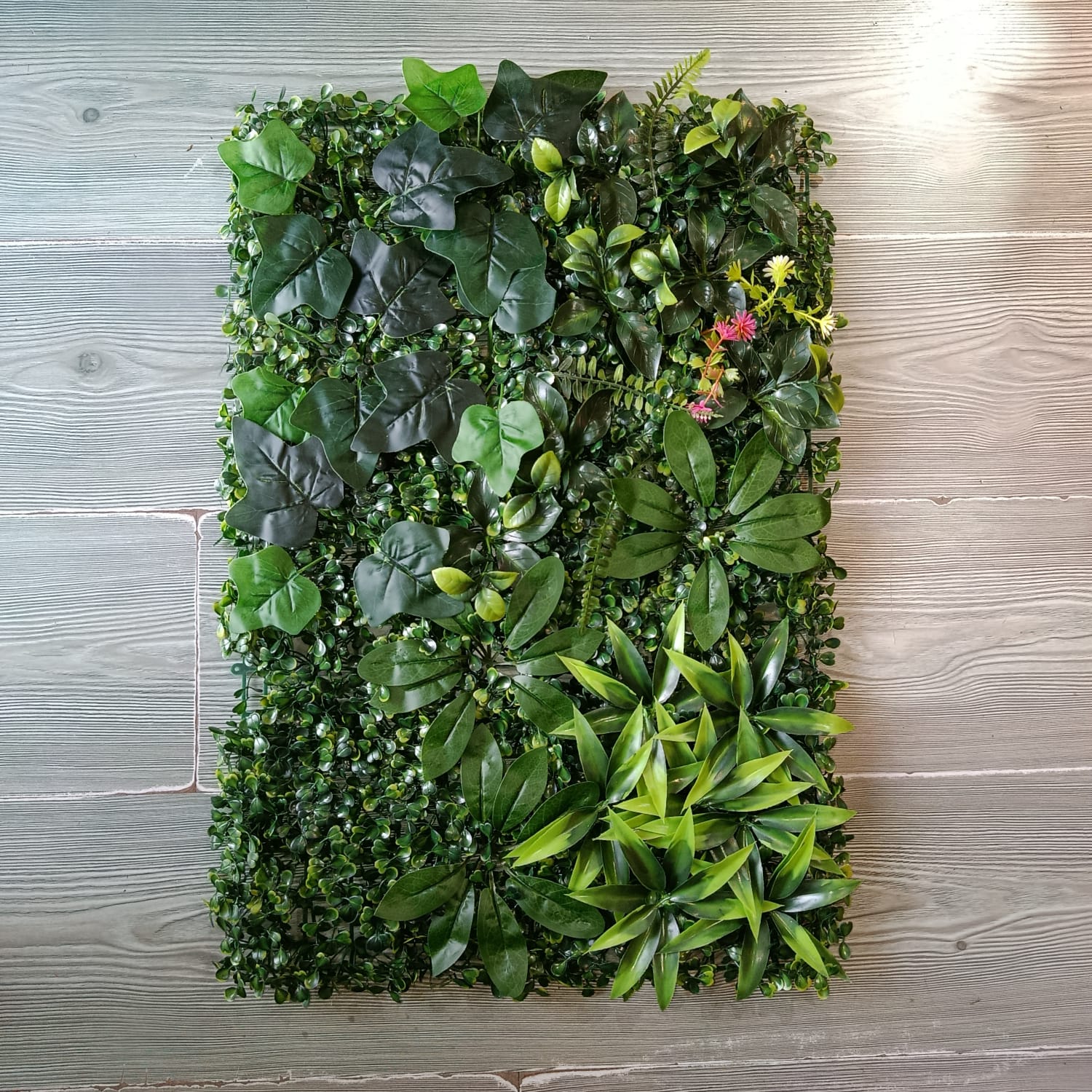 Jardin Vertical 60x40 Uva con Aralia