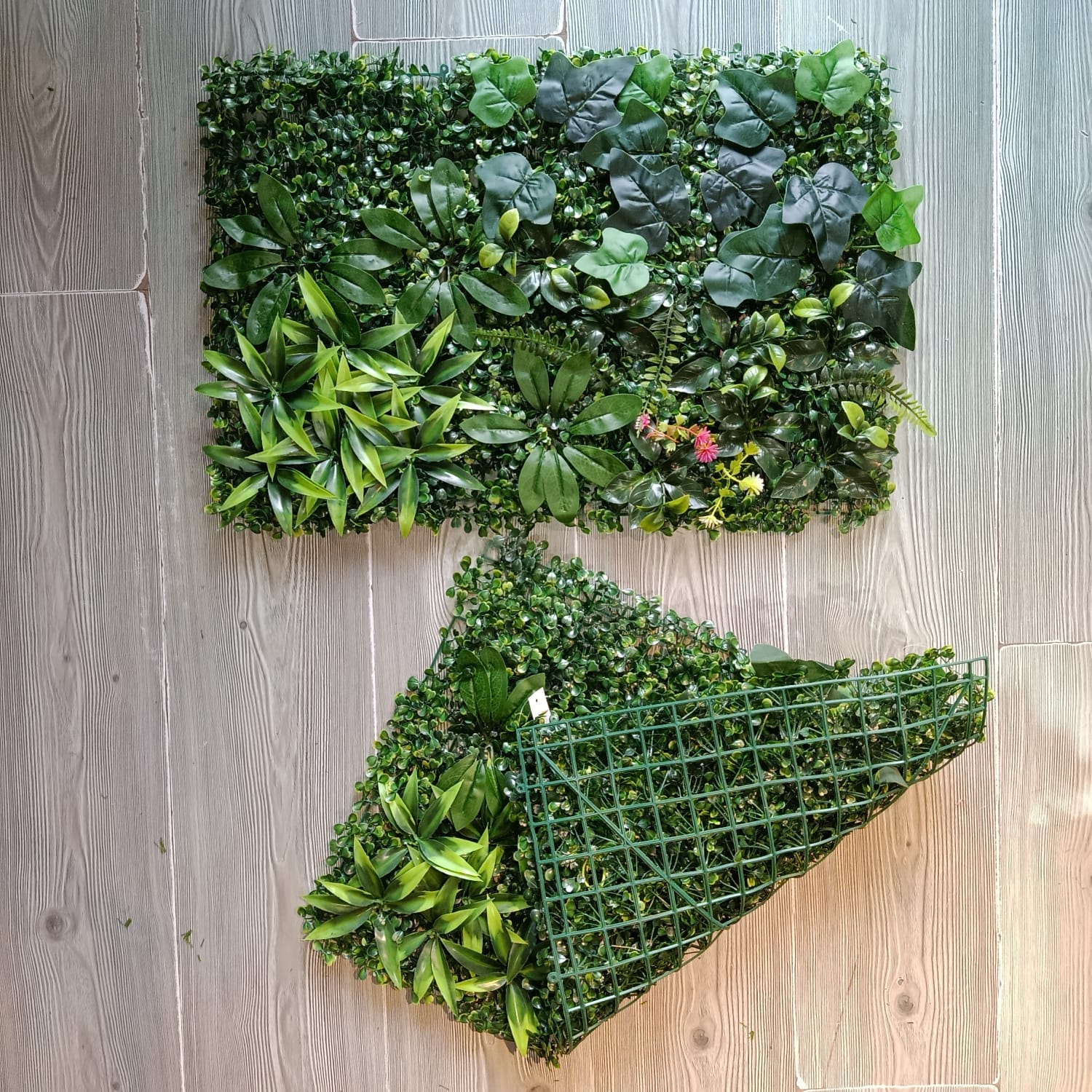 Jardin Vertical 60x40 Uva con Aralia