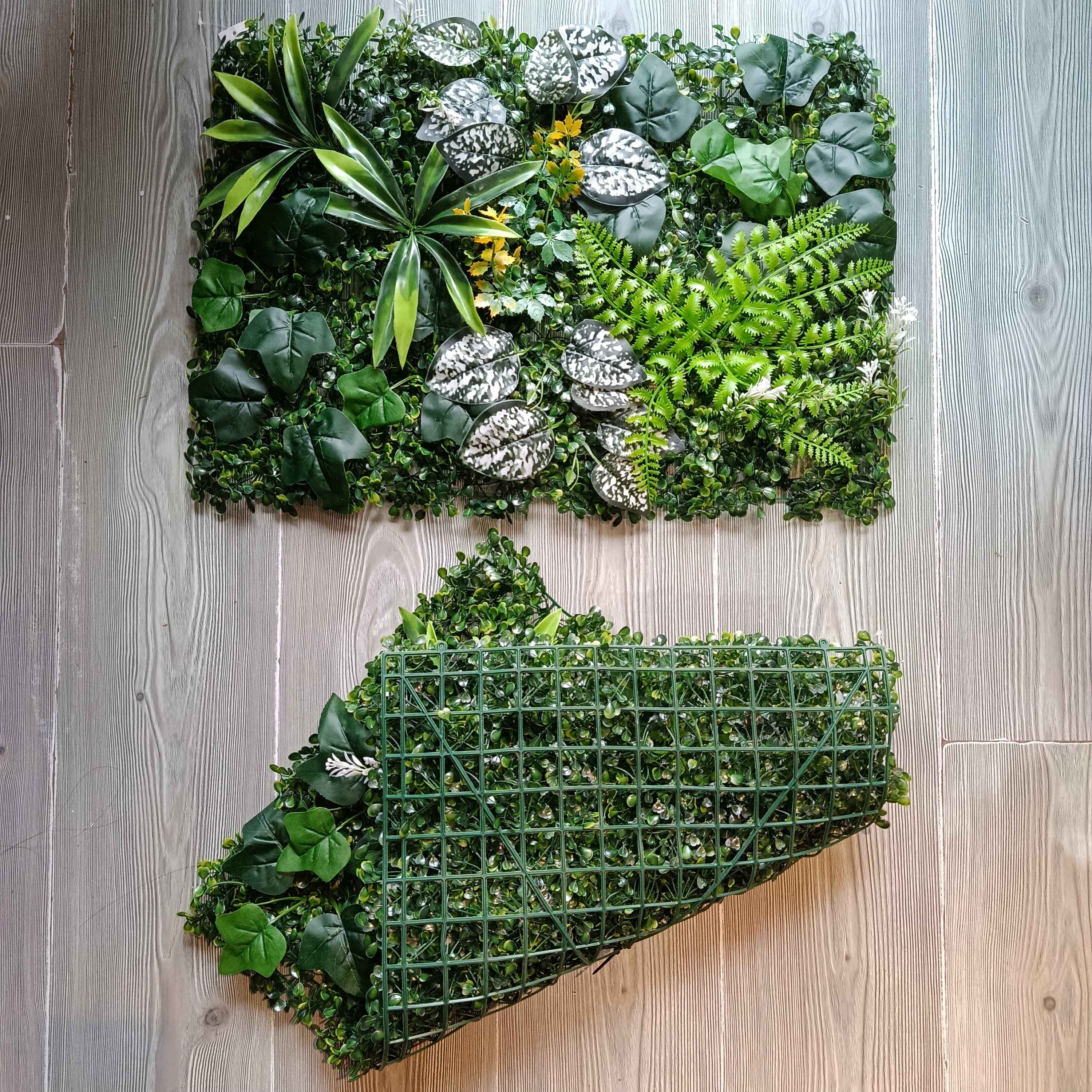 Jardín Vertical 60x40 Penca Flor Amarilla