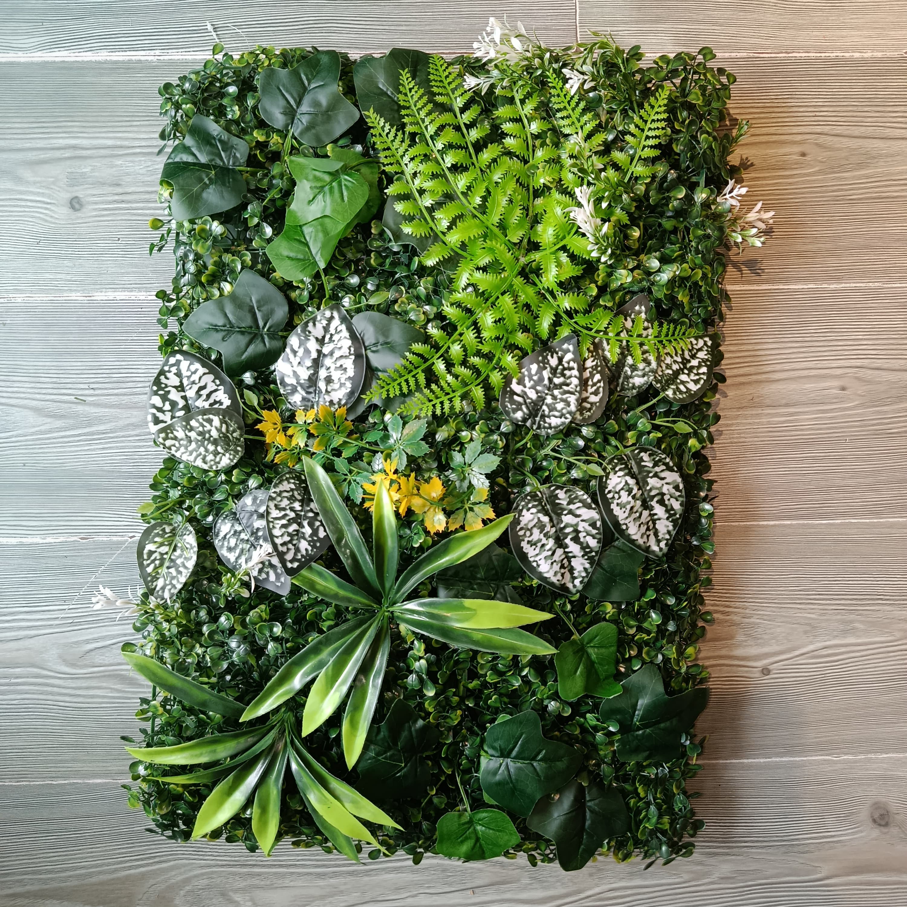 Jardín Vertical 60x40 Penca Flor Amarilla