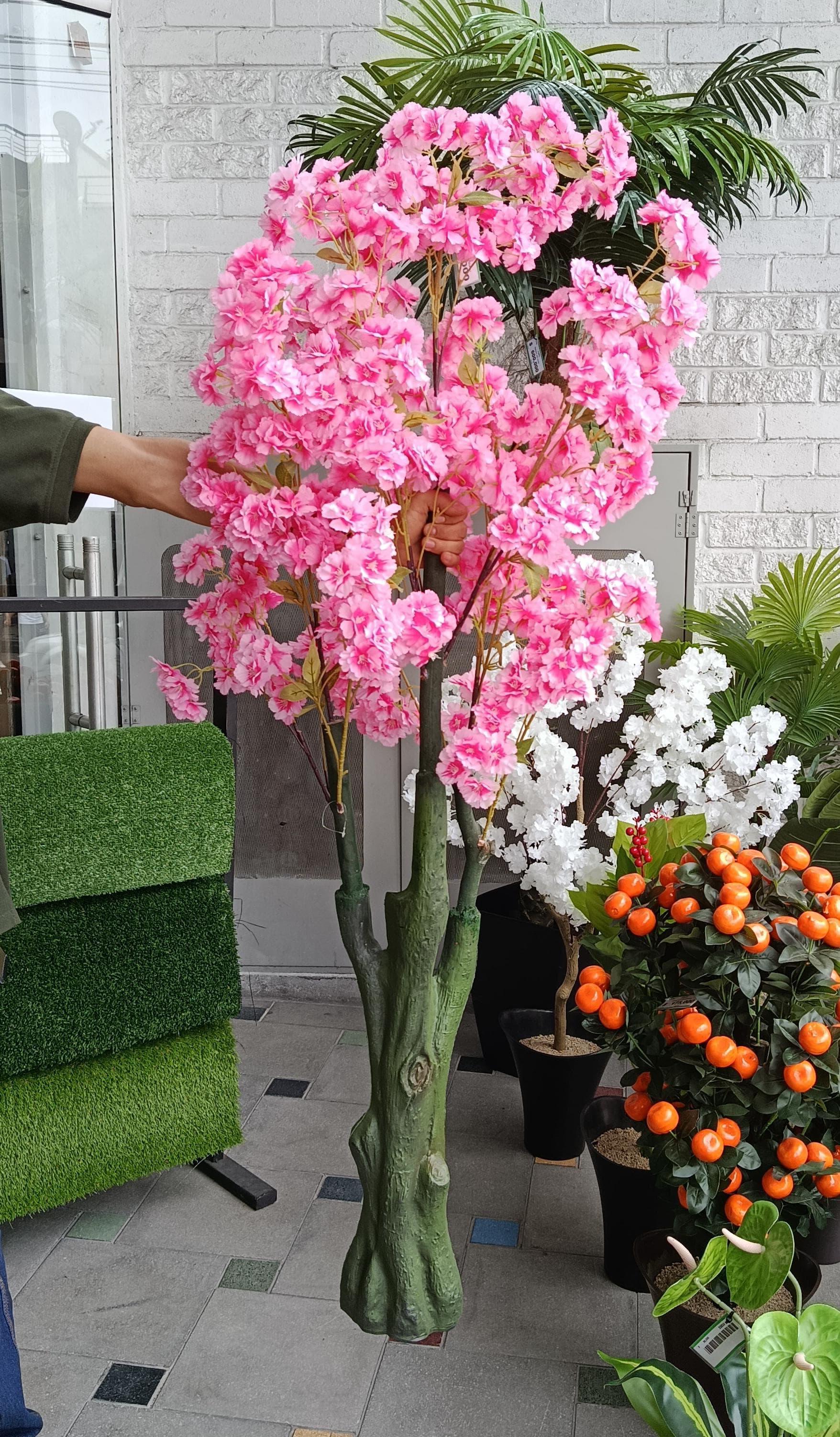 Árbol de Cerezo Fucsia Mediano 1.70cm